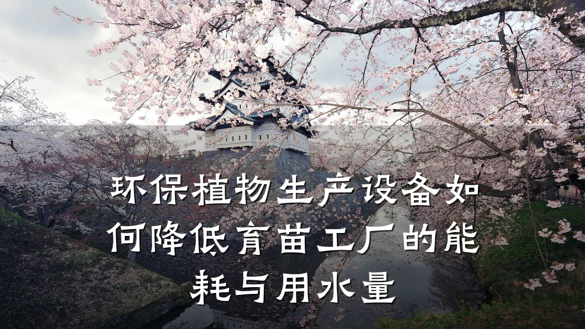 环保植物生产设备如何降低育苗工厂的能耗与用水量