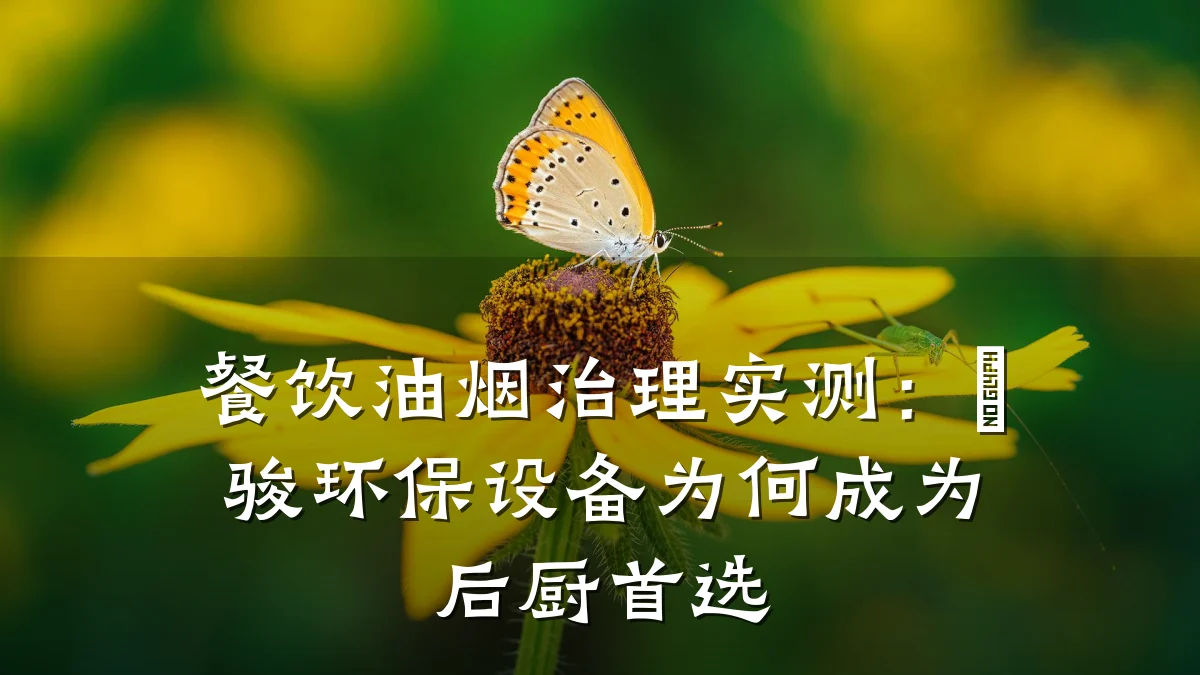餐饮油烟治理实测:垚骏环保设备为何成为后厨首选