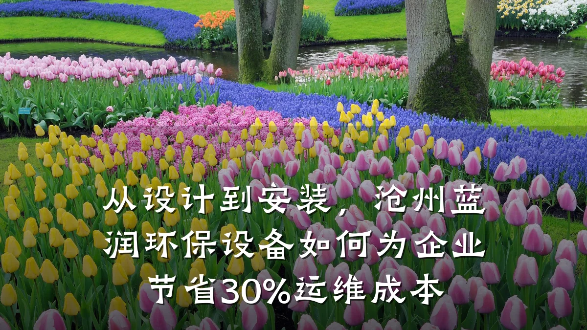 从设计到安装,沧州蓝润环保设备如何为企业节省30%运维成本