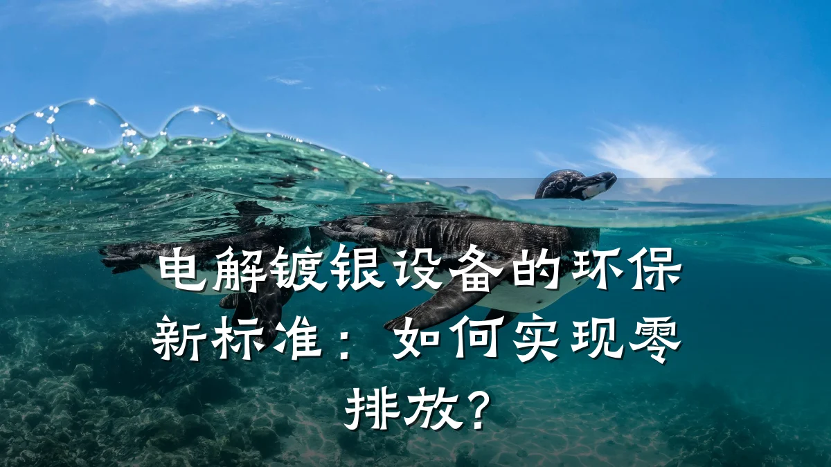 电解镀银设备的环保新标准：如何实现零排放？