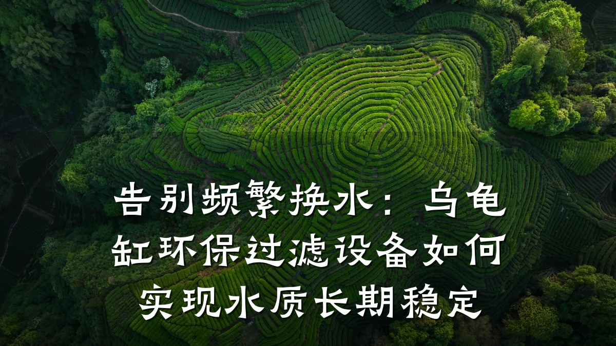 告别频繁换水:乌龟缸环保过滤设备如何实现水质长期稳定