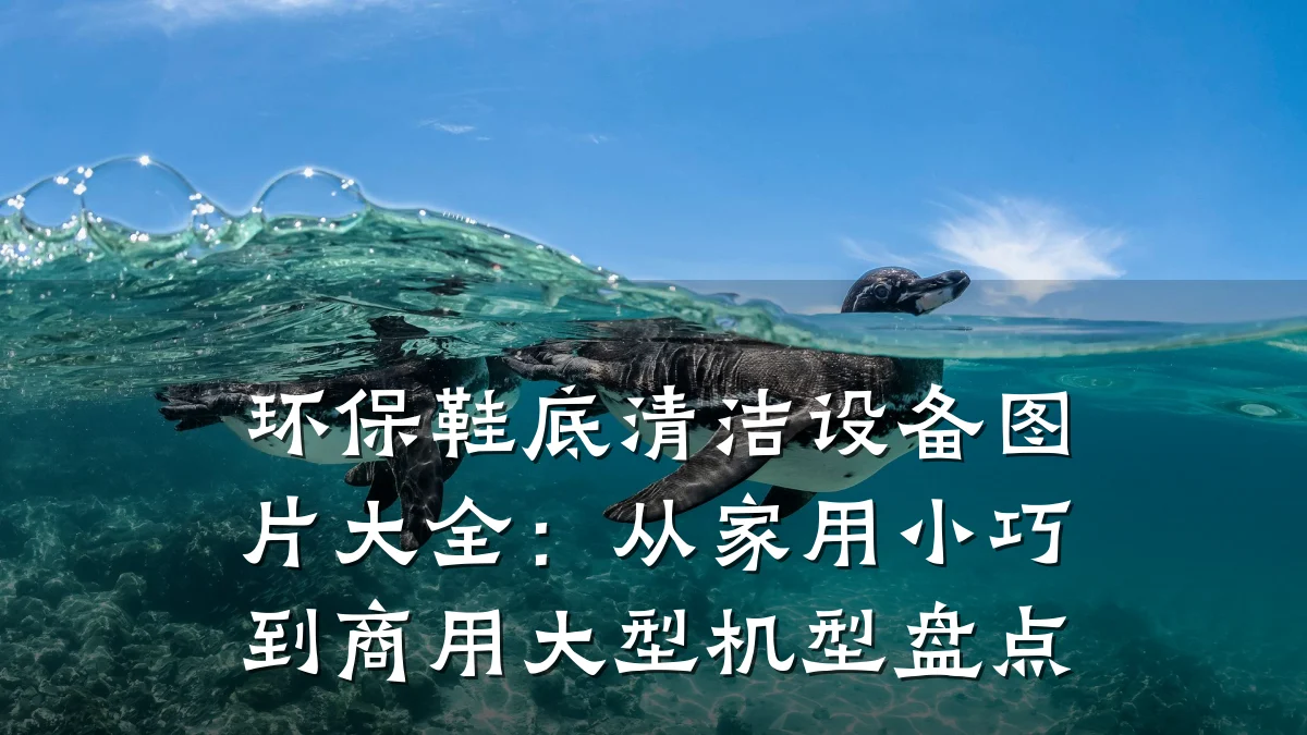 环保鞋底清洁设备图片大全：从家用小巧到商用大型机型盘点