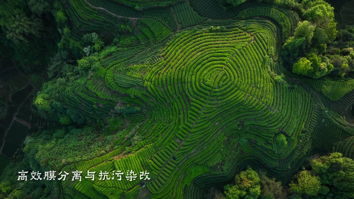 高效膜分离与抗污染改