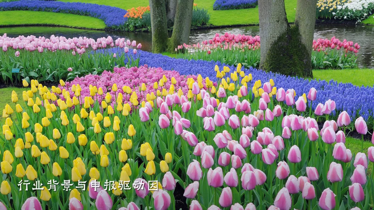 行业背景与申报驱动因
