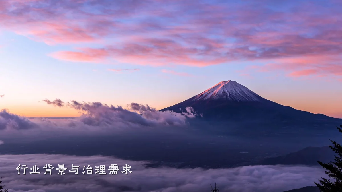 行业背景与治理需求
