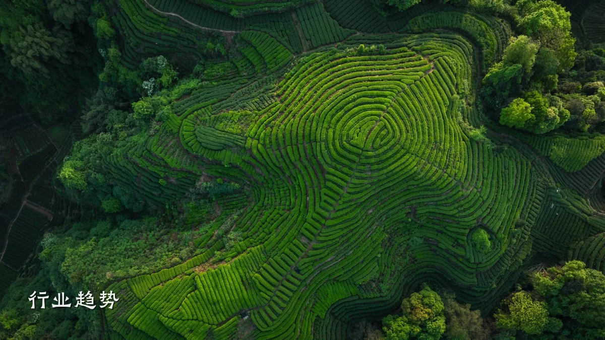 行业趋势