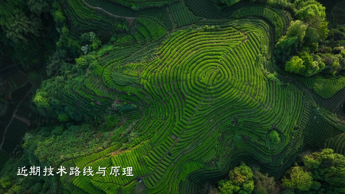 近期技术路线与原理