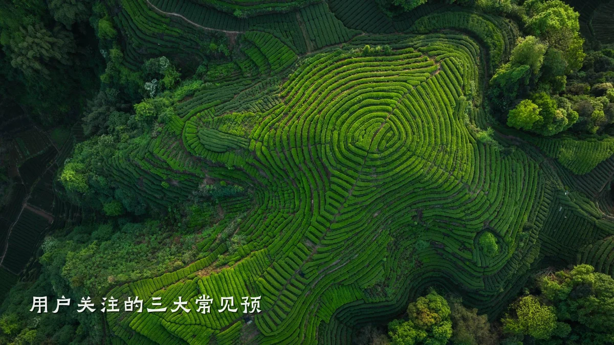 用户关注的三大常见预