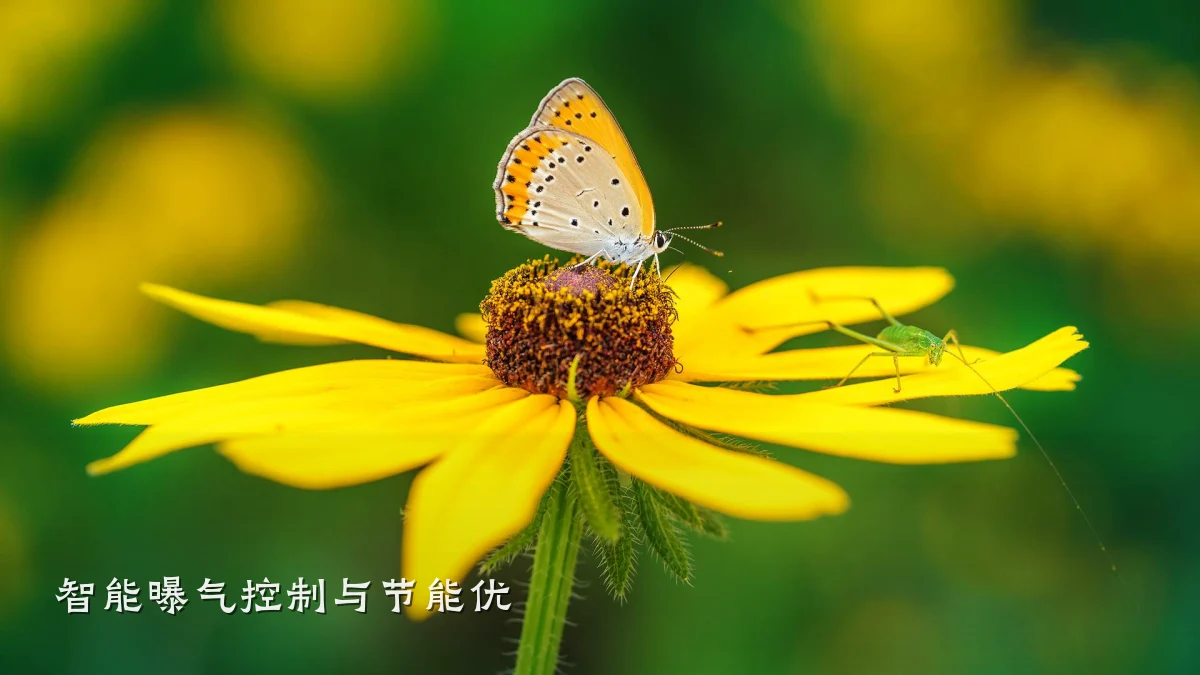 智能曝气控制与节能优