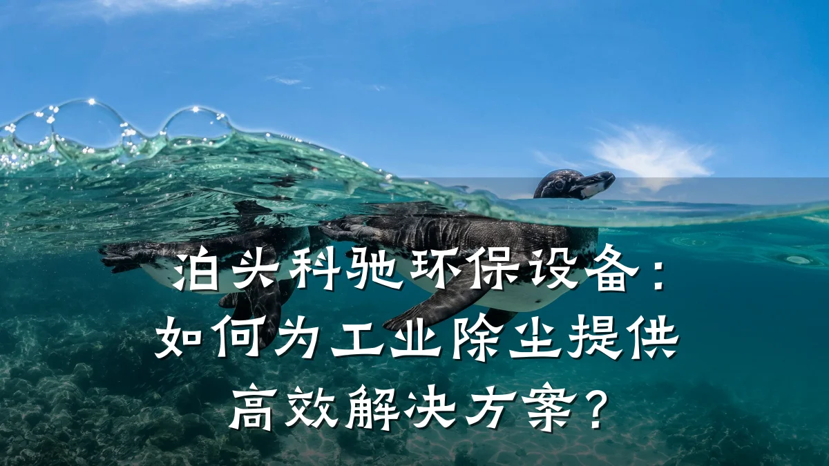 泊头科驰环保设备:如何为工业除尘提供高效解决方案?
