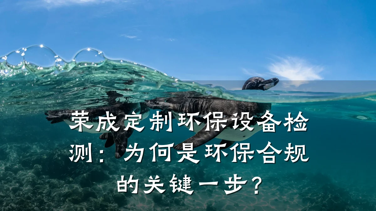 荣成定制环保设备检测：为何是环保合规的关键一步？