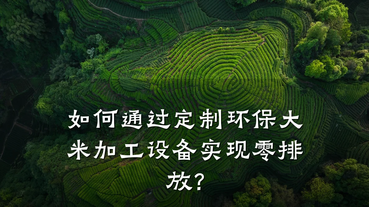 如何通过定制环保大米加工设备实现零排放？