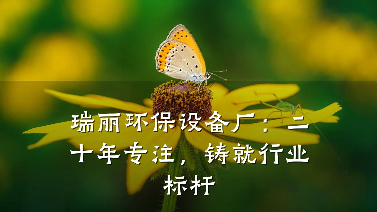 瑞丽环保设备厂:二十年专注,铸就行业标杆