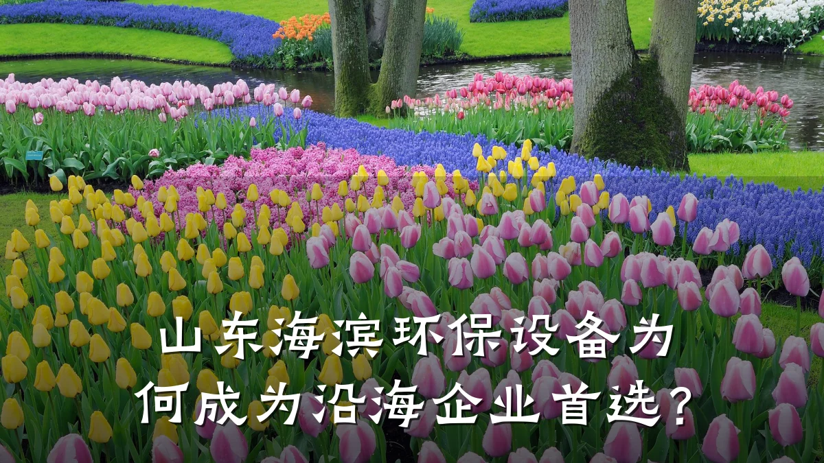 山东海滨环保设备为何成为沿海企业首选?