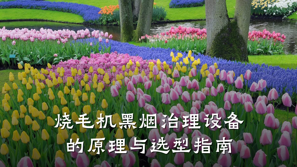 烧毛机黑烟治理设备的原理与选型指南