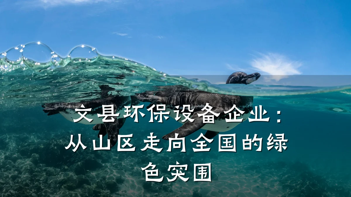 文县环保设备企业：从山区走向全国的绿色突围