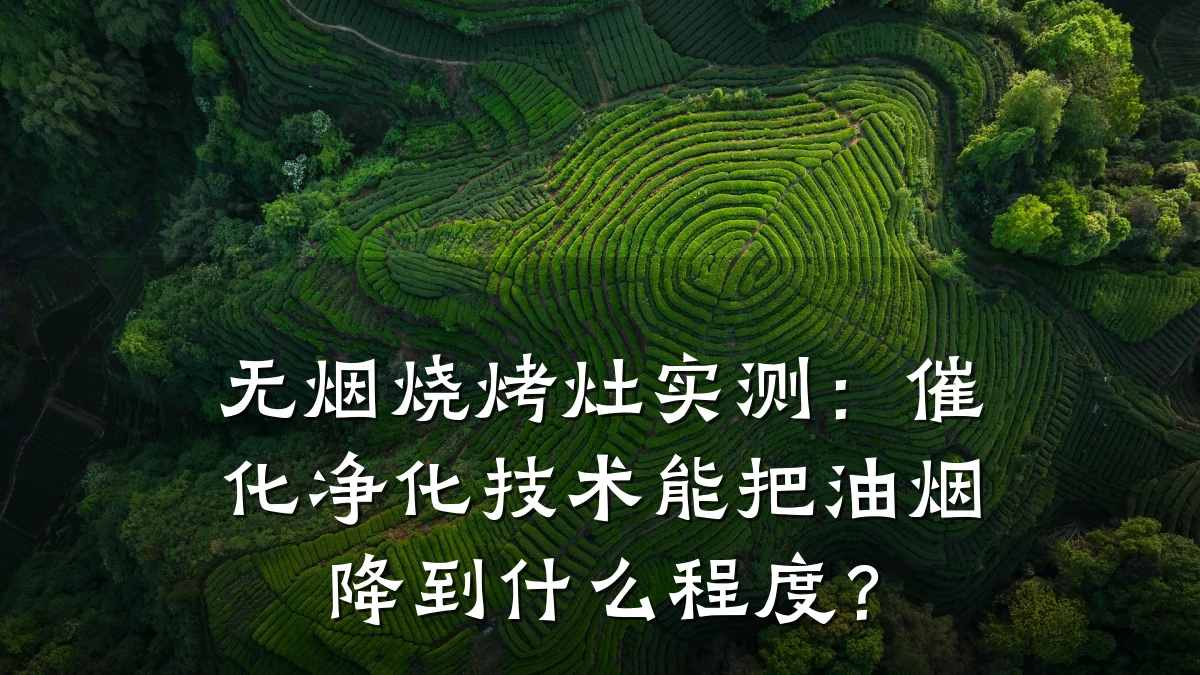 无烟烧烤灶实测：催化净化技术能把油烟降到什么程度？