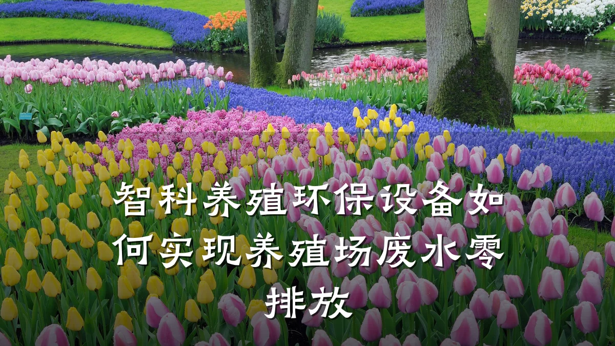 智科养殖环保设备如何实现养殖场废水零排放